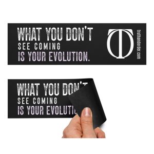 T&O Evolution Car Magnet