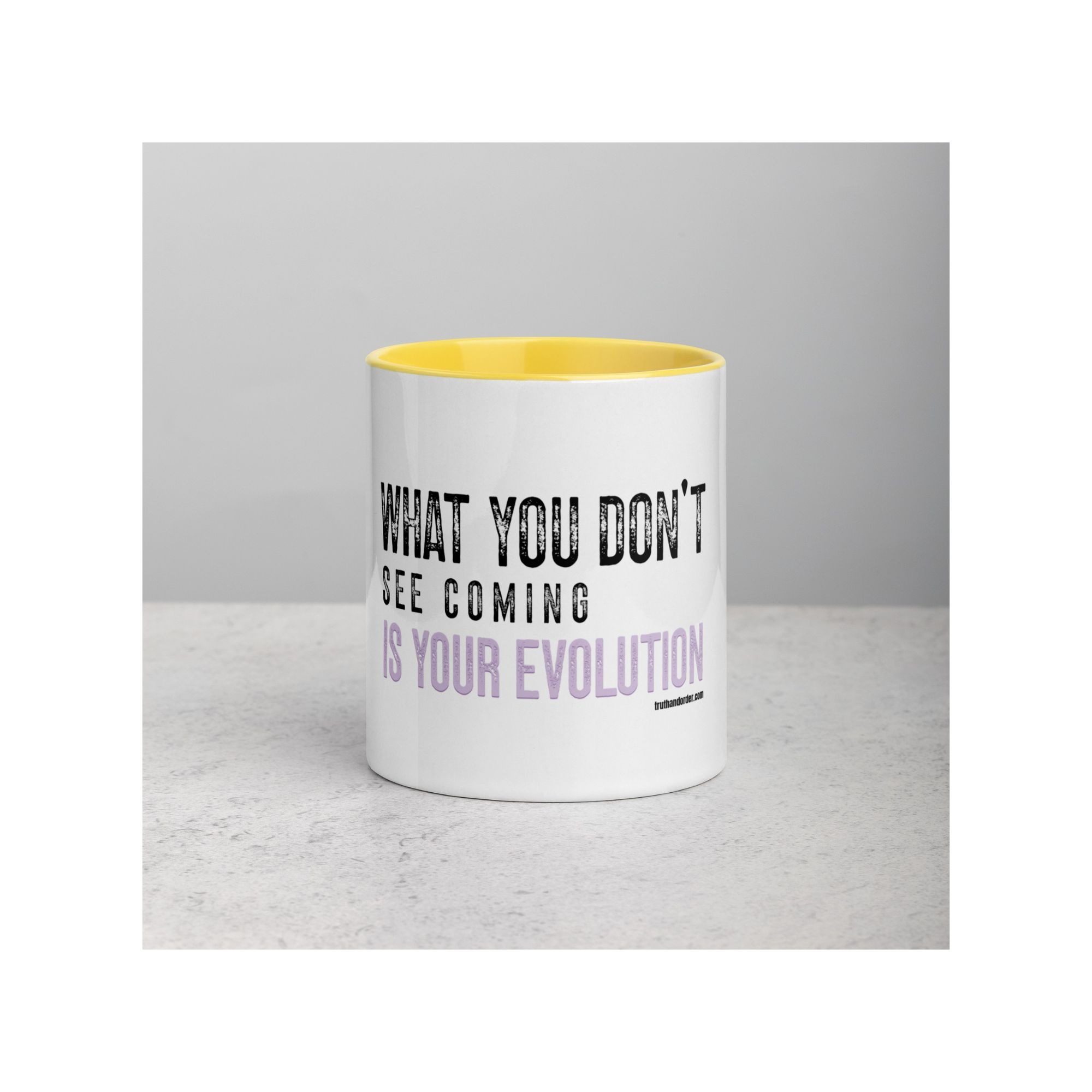 T&O Evolution Mug - Image 3