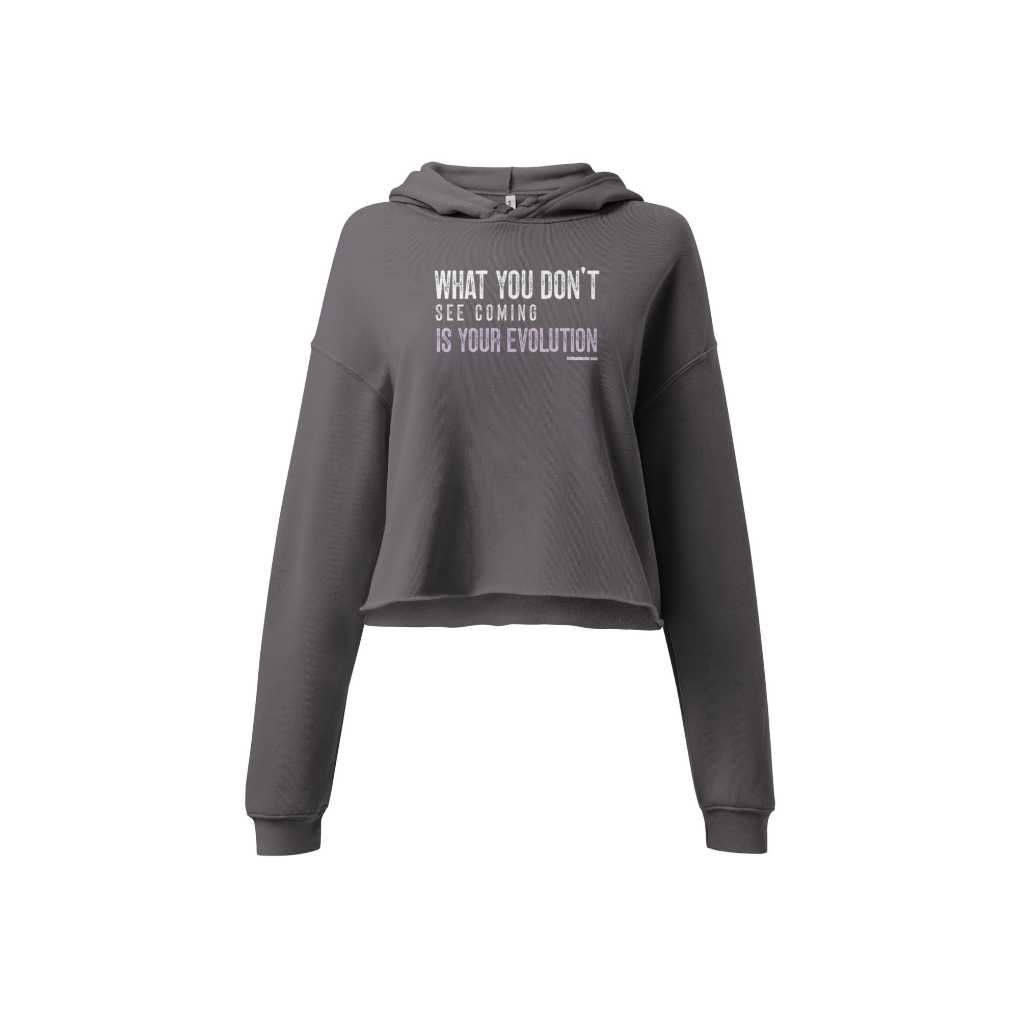 T&O Women's Evolution Crop Hoodie - Image 5