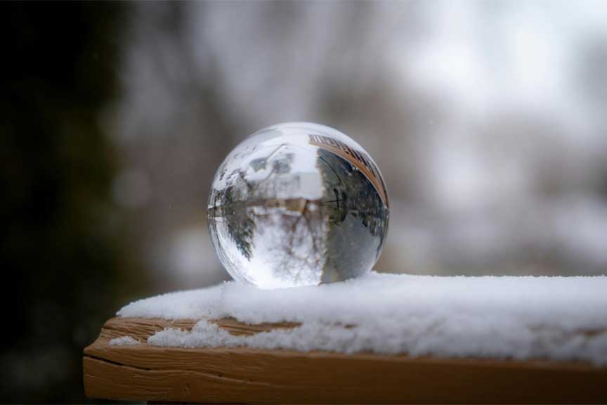 Williams and Sonoma-approved ice ball