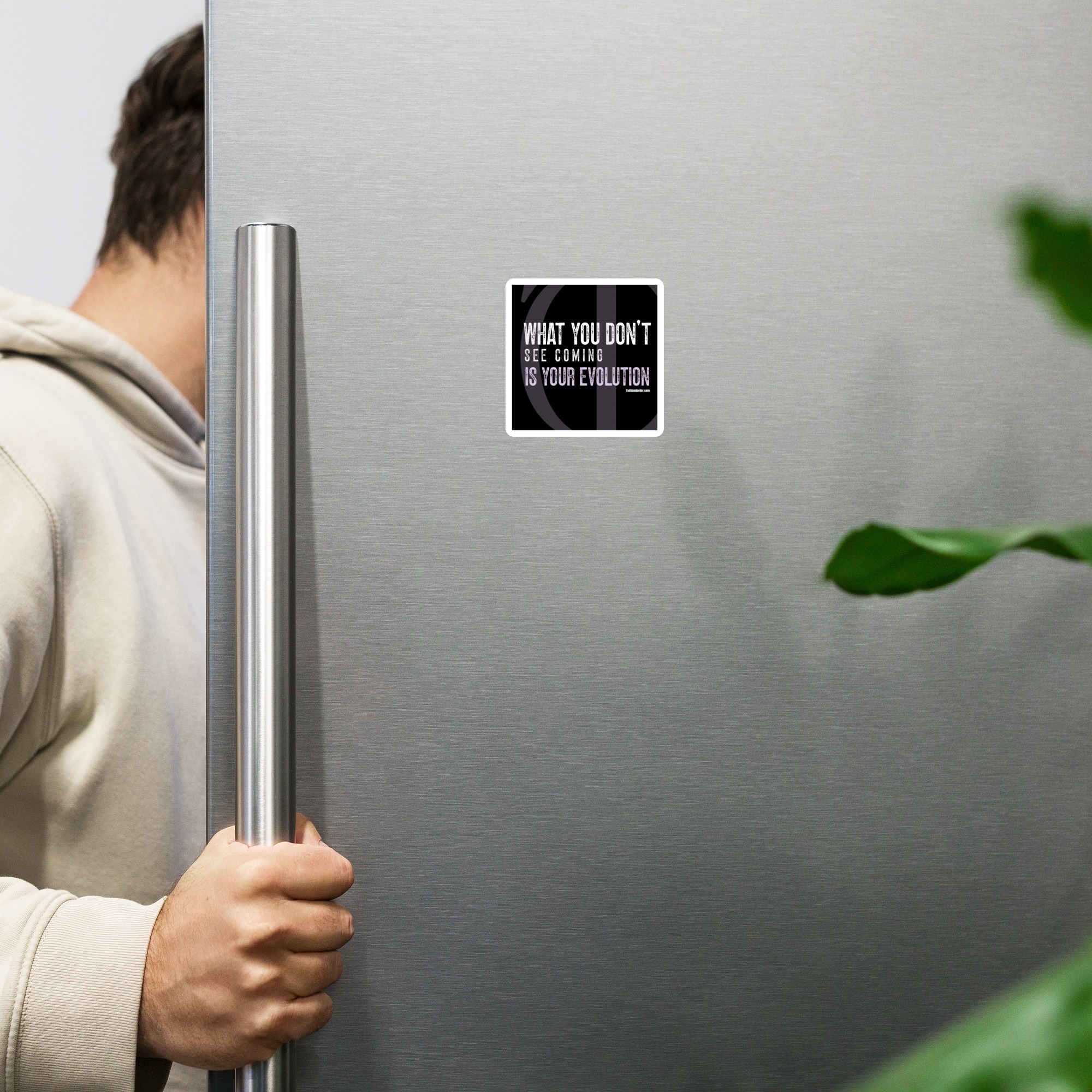 T&O Evolution Everywhere Magnets - Image 3