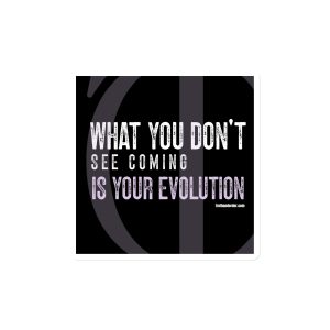 T&O Evolution Everywhere Magnets