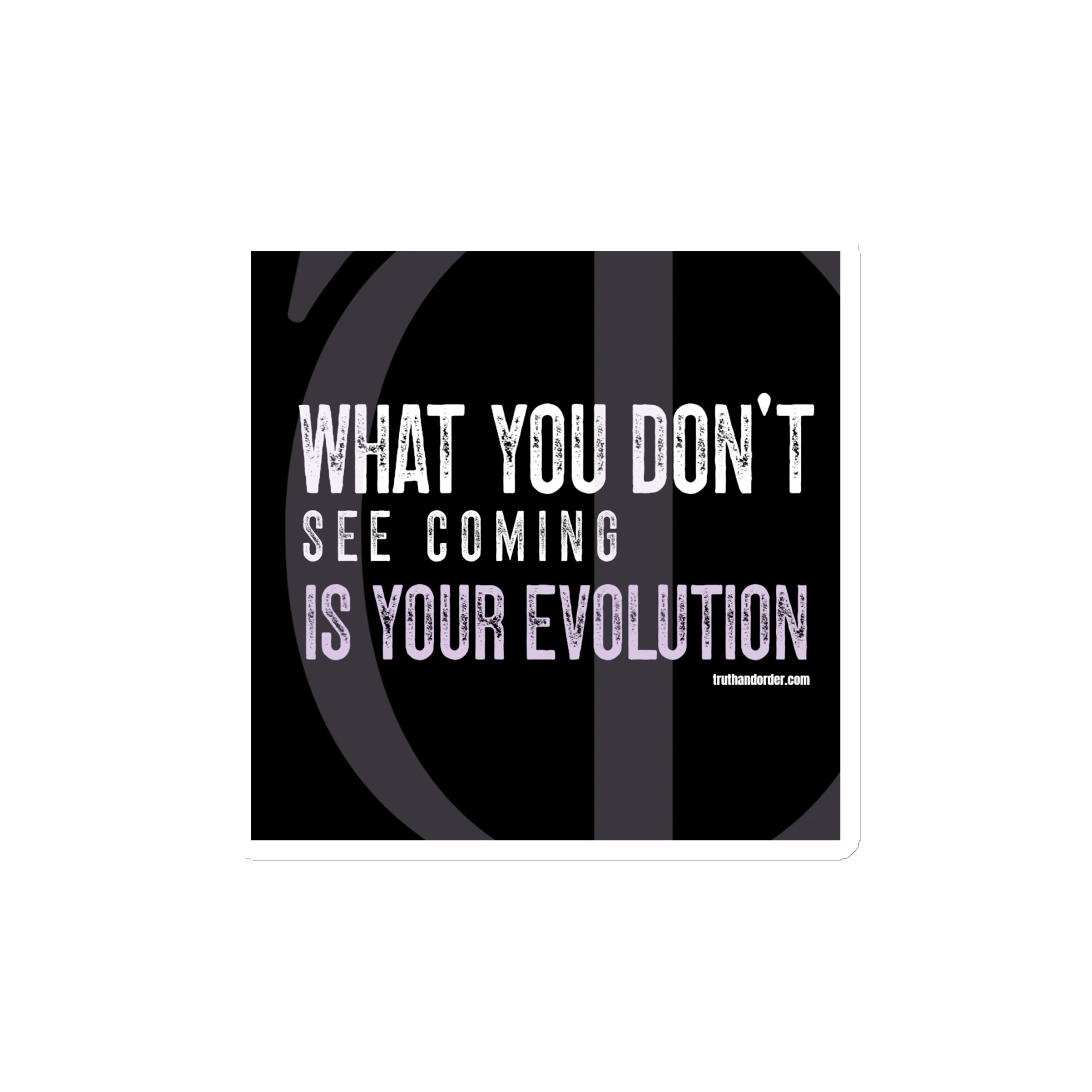 T&O Evolution Everywhere Magnets